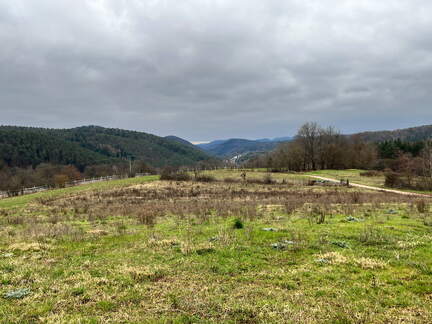 24-03-01 11-00-10 8856